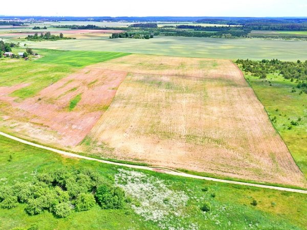 0,50 HA ŽEMĖS ŪKIO PASKIRTIES SKLYPAI NAUJAI BESIKURIANČIAME KVARTALE VILNIAUS RAJONE, JUODBALIŲ KAIME