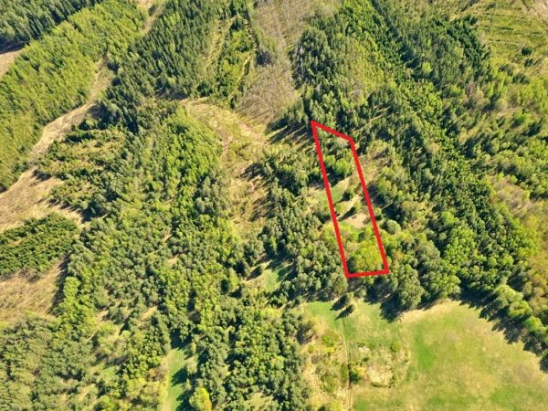 SODYBVIETĖ 0,54 HA PUIKIOJE VIETOJE MIŠKE ZARASŲ R., LIMINIŲ K.