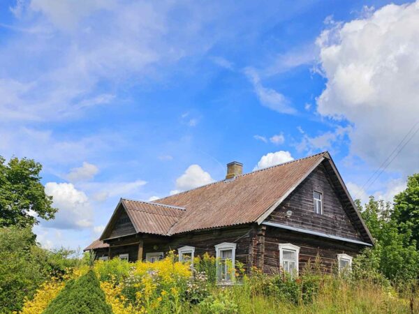 Autentiška kaimo sodyba su 2 ha žemės sklypu Utenos r ., Avižieniškio k.