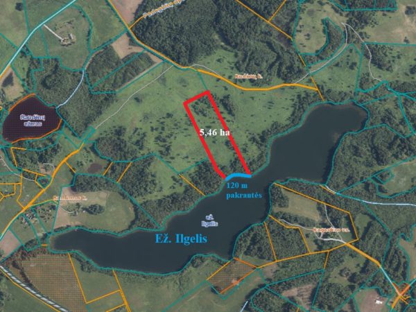 PARDUODAMAS VERTINGAS 5,4600 HA ŽEMĖS ŪKIO PASKIRTIES SKLYPAS ANT ILGELIO EŽERO KRANTO ZARASŲ R., RUDĖNŲ K.
