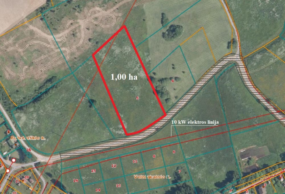 PERSPEKTYVUS 1 HA KITOS PASKIRTIES (VIENBUČIŲ IR DVIBUČIŲ GYVENAMŲJŲ PASTATŲ TERITORIJOS) SKLYPAS ROKIŠKIO MIESTE, VELNIAKALNIO K.
