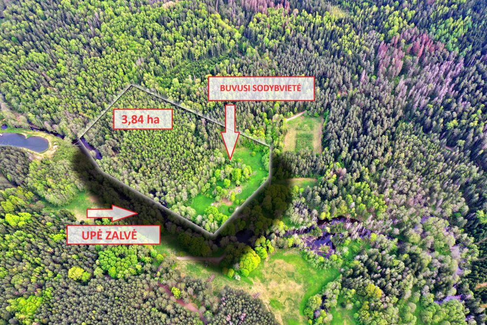 Sodybvietė ant Zalvės upės kranto, Marimanto k.
