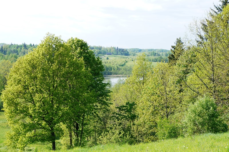 SU GALIMYBE STATYTIS 3.8700 ha žemės ūkio paskirties sklypas Švenčionių rajone, Kirkučių vienkiemyje, tarp vietinių vadinamoje – Lietuviškoje Šveicarijoje…
