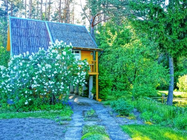 Įdomios architektūros, kraštinis sodo namas pušyne prie tvenkinio, Švenčionių rajone, Statkuškės kaime, Švenčionėlių pakraštyje