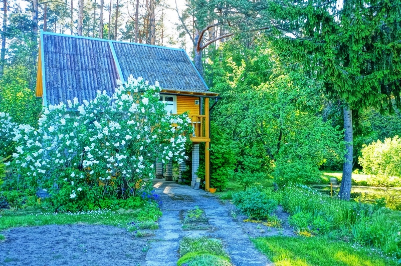 Įdomios architektūros, kraštinis sodo namas pušyne prie tvenkinio, Švenčionių rajone, Statkuškės kaime, Švenčionėlių pakraštyje