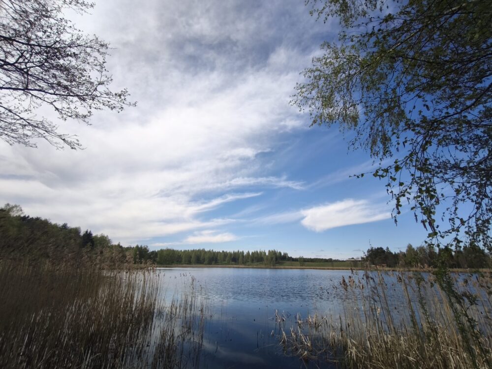 Parduodamas 1,65 ha žemės ūkio paskirties sklypas ant Kazimieravos ežero kranto Molėtų rajone, Kazimieravos kaime