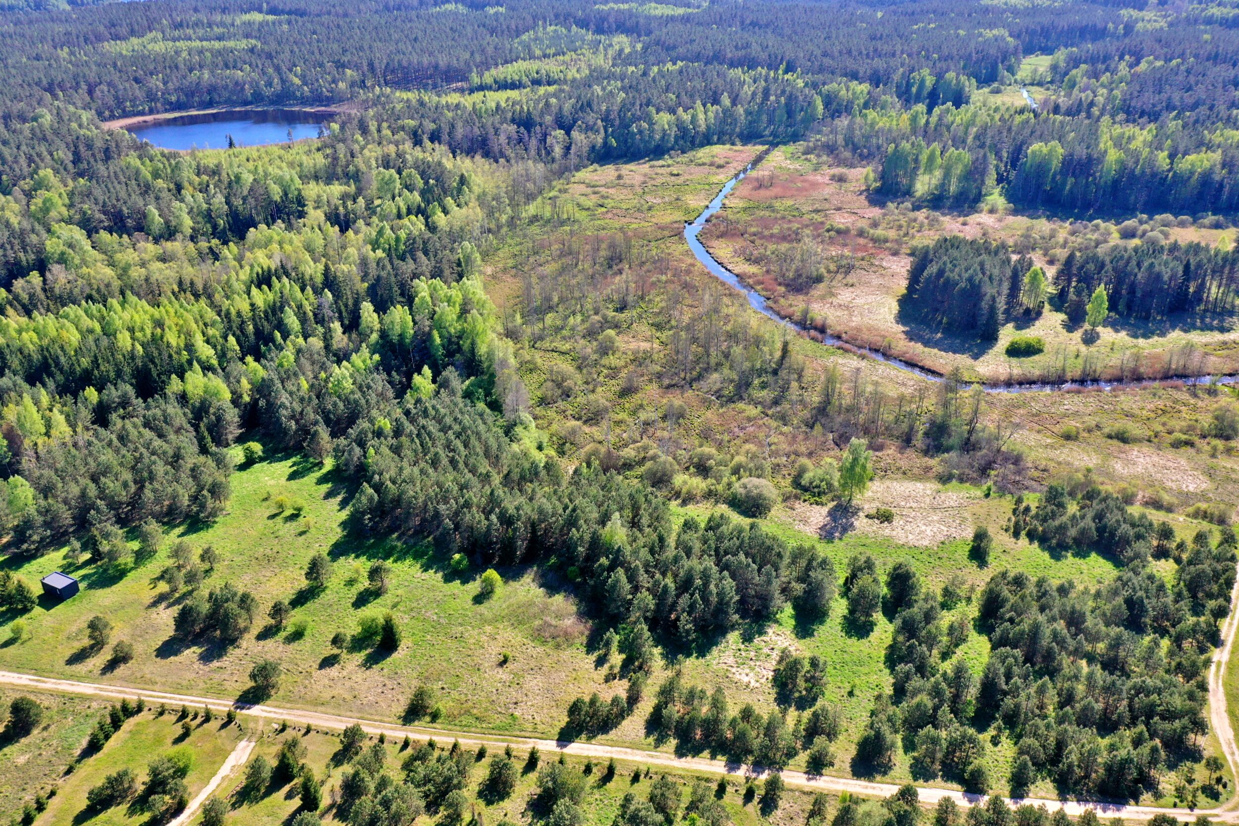Parduodamas 0.97 ha žemės ūkio paskirties sklypas miškų apsuptyje Ažuprūdžio kaime, Utenos rajone.
