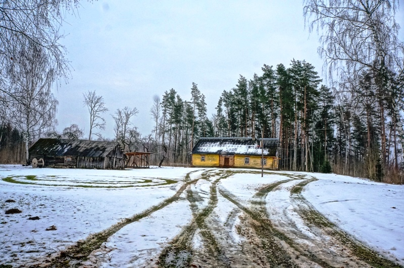 Parduodamas gražus vienkiemis Kairiškės  miške su senos sodybos pastatais Ignalinos rajone, Kaneišių kaimo pakraštyje.