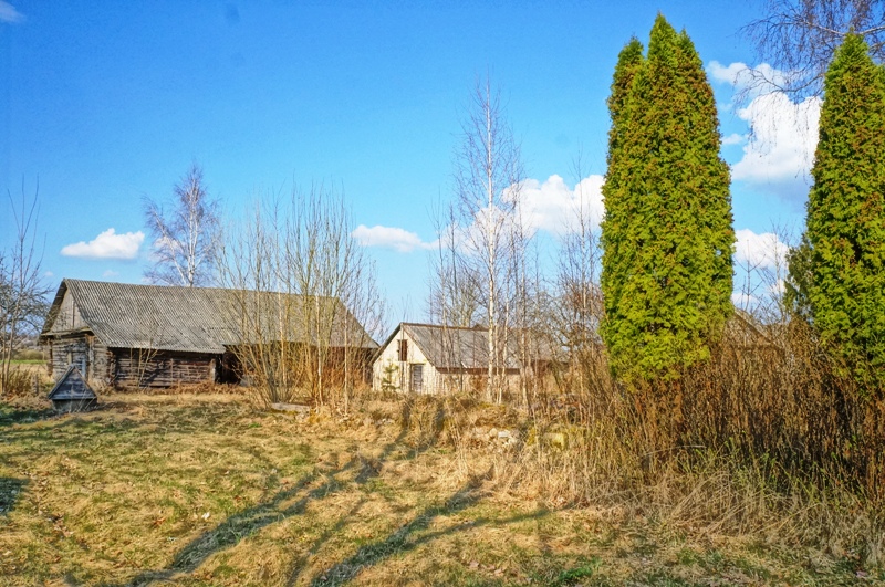 Parduodama sodyba su gyvenamojo namo pamatais Ignalinos rajone, Mielagėnų seniūnijoje, Salomenkos kaime, Liepų g. 20.