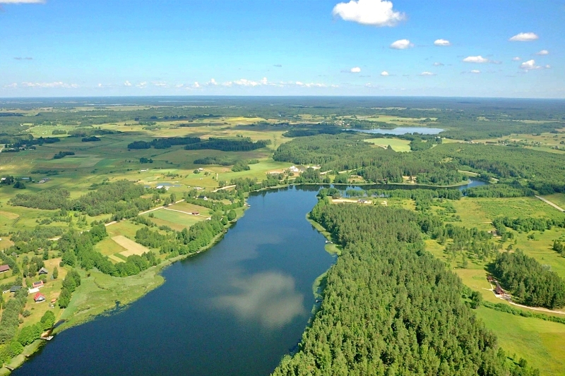 Parduodamas išskirtinis 6ha sklypas prie Arino ežero:  pušyne, su namo pamatais, Molėtų rajone!