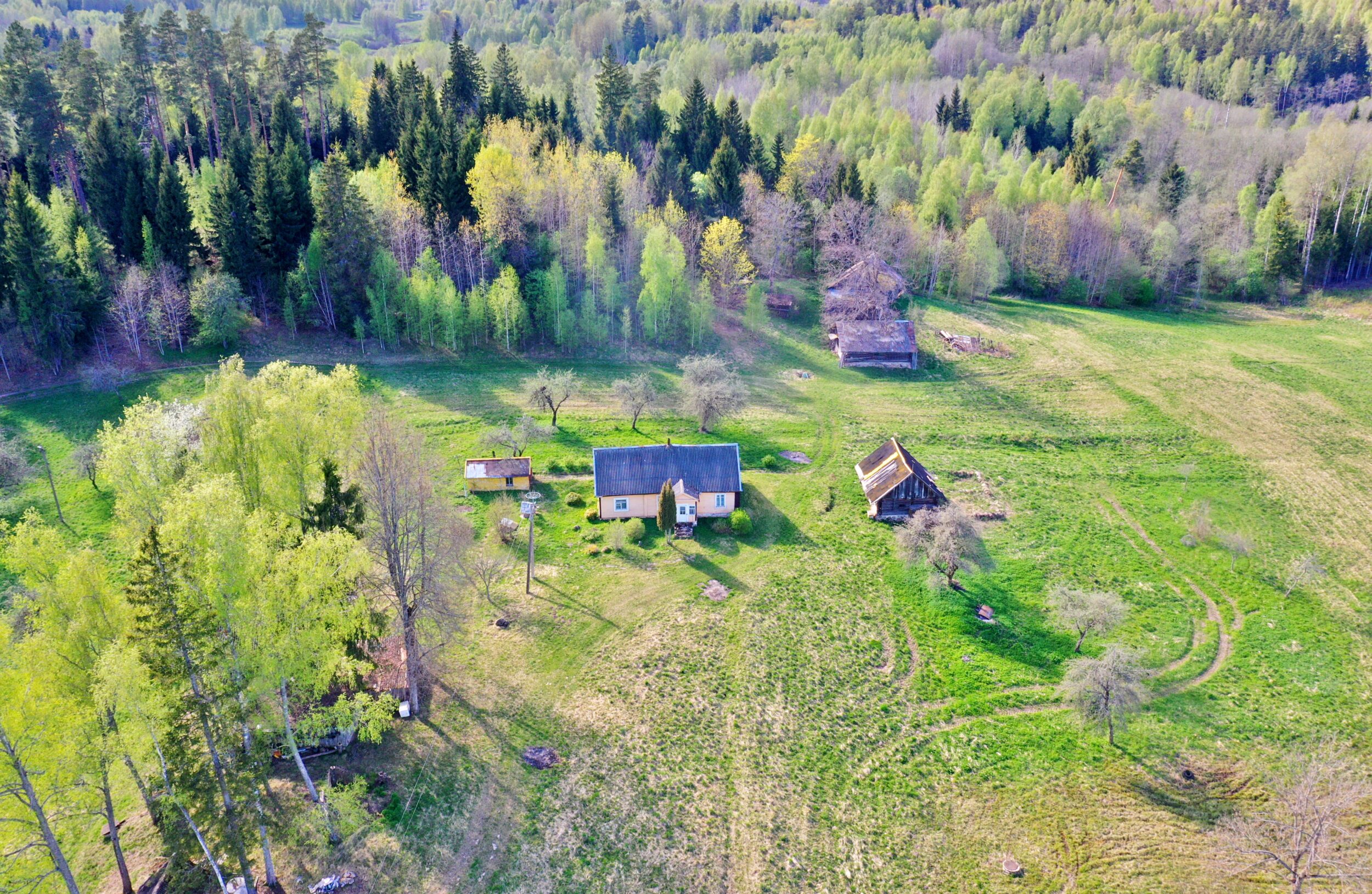 Parduodama sodyba su 10 ha žemės prie Gudiškių miško, Salako seniūnijoje, Zarasų rajone