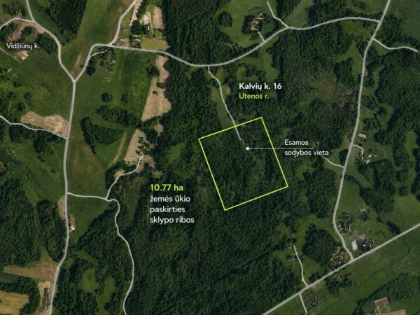 PARDUODAMAS 10,77 HA ŽEMĖS SKLYPAS SU SENA SODYBA UTENOS RAJONE