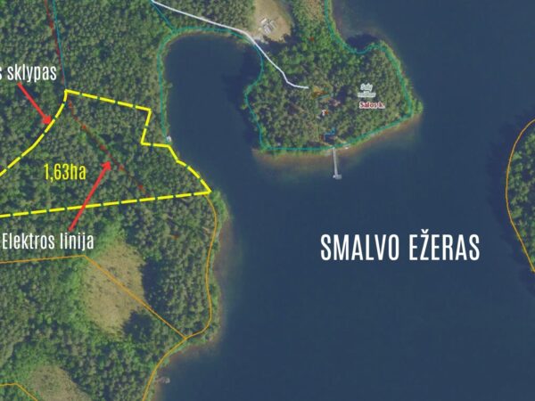 PARDUODAMAS SKLYPAS PRIE SMALVO EŽERO, SALOS KAIME ZARASŲ RAJONE
