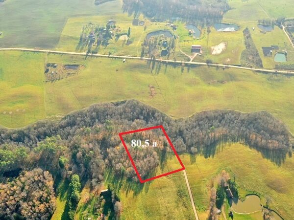 Parduodamas sklypas Utenos rajone gyvenamojo namo statyboms!