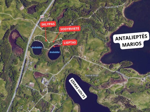 IŠSKIRTINIS 2,6 HA SKLYPAS ZARASŲ KRAŠTE – 23 EŽERŲ APSUPTYJE, SU PAKRANTE PRIE BRUŽOKĖLIŲ EŽERO!