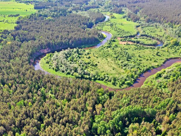 IŠSKIRTINĖ 10,36 HA TERITORIJA ŠIMONIŲ GIRIOJE, ŠVENTOSIOS UPĖS PAKRANTĖJE – ANYKŠČIŲ RAJONE!!!