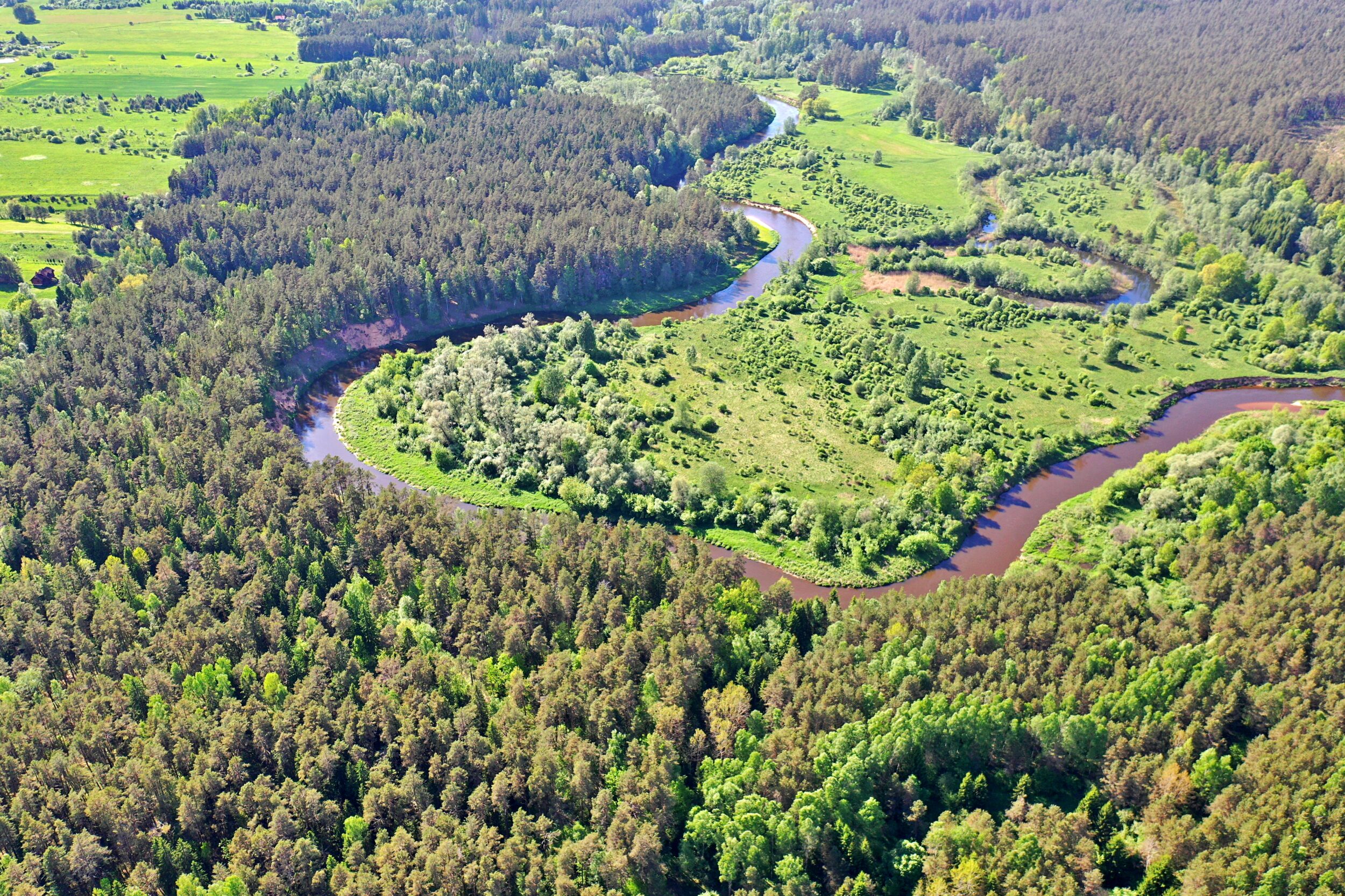 IŠSKIRTINĖ 10,36 HA TERITORIJA ŠIMONIŲ GIRIOJE, ŠVENTOSIOS UPĖS PAKRANTĖJE – ANYKŠČIŲ RAJONE!!!