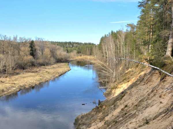 IŠSKIRTINĖ 10,36 HA TERITORIJA ŠIMONIŲ GIRIOJE, ŠVENTOSIOS UPĖS PAKRANTĖJE – ANYKŠČIŲ RAJONE!!!