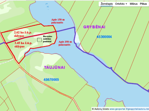 3.45 HA ŽEMĖS ŪKIO PASKIRTIES SKLYPAS SU GALIMYBE STATYTIS MIŠKE, VIENKIEMYJE, ANT DIDELIO IR ŽUVINGO PADYSNIO KRANTO, IGNALINOS R.