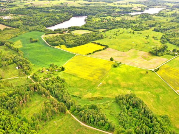 PARDUODAMAS 2,5 HA SKLYPAS PRIE BARBUTIŠKIŲ MIŠKO NERČIŪNŲ K., TRAKŲ RAJ.