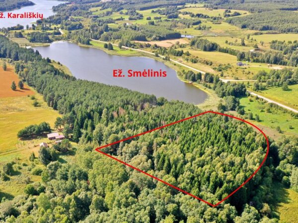 PARDUODAMAS 1,13HA MIŠKŲ ŪKIO PASKIRTIES SKLYPAS ŠALIA SMĖLINIO EŽERO, MOLĖTŲ R.