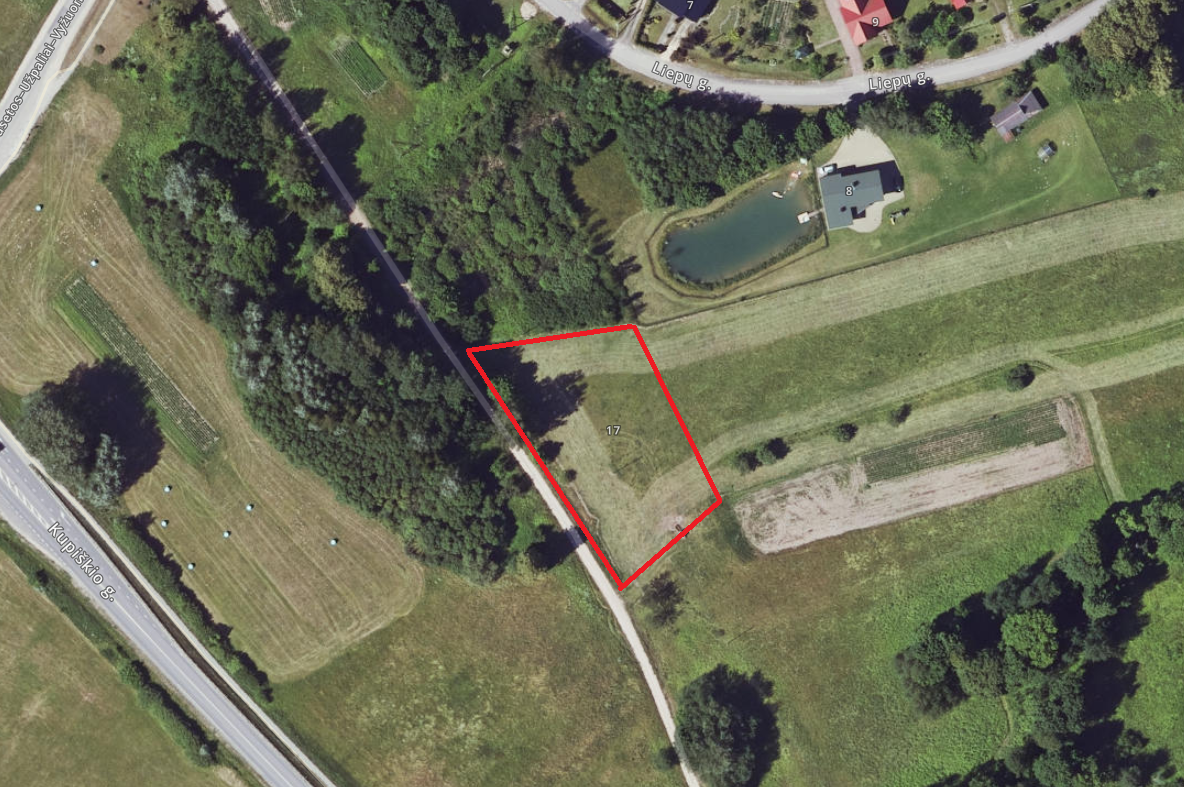 PARDUODAMAS 28 ARŲ NAMŲ VALDOS SKLYPAS VYŽUONOSE, UTENOS RAJONE